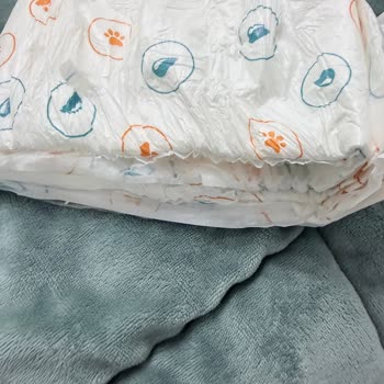 Reflex Çiş Pedlerinde Sızdırma Ve Bant Sorunu