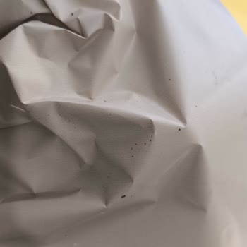 Kök Görünür Çiçek Ve Lekeli Paketleme Sorunu