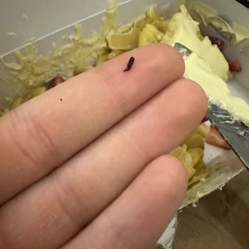 Getir Boston Şubesinden Gelen Tatlıda Kalite Ve Hijyen Sorunu