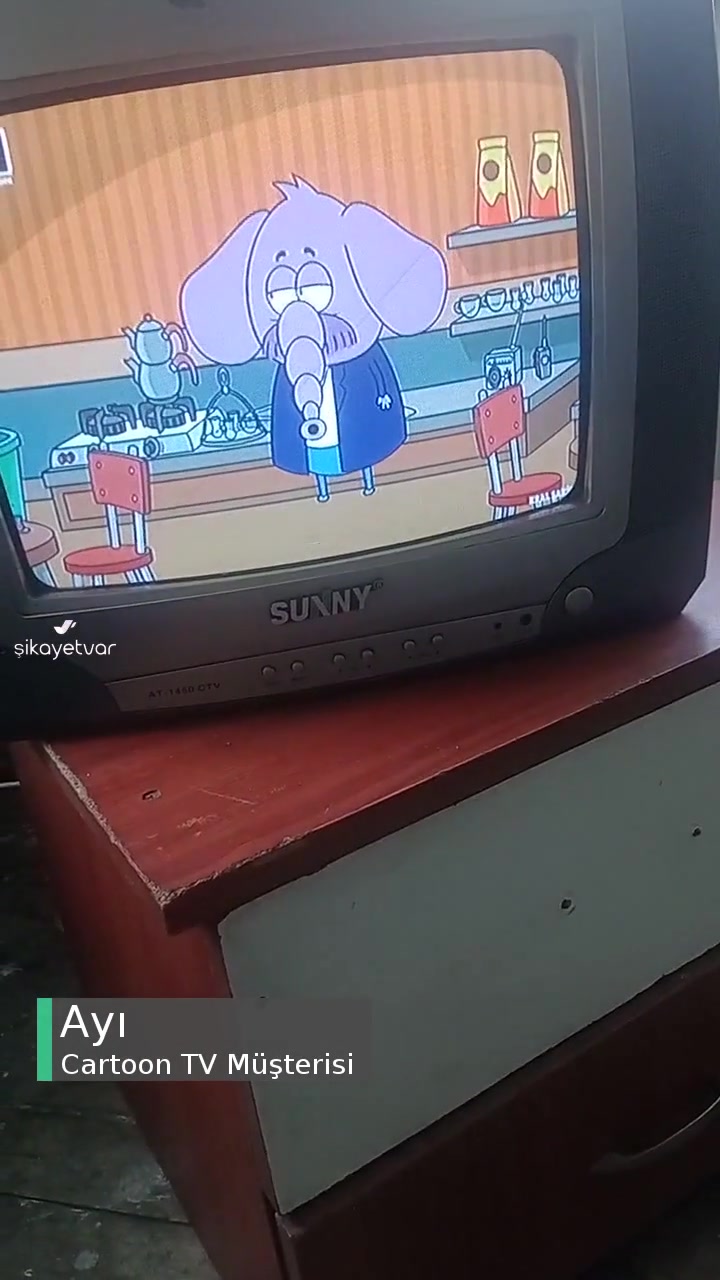 Cartoon TV Kral Şakir Kaldırılsın videonun kapak resmi