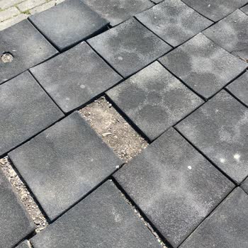 Derince Parkında Güvenlik ve Alt Yapı Sorunları