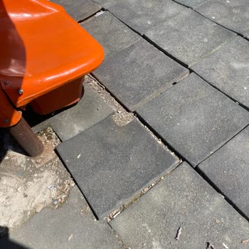 Derince Parkında Güvenlik ve Alt Yapı Sorunları