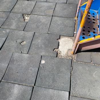 Derince Parkında Güvenlik ve Alt Yapı Sorunları