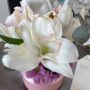 Solmuş Çiçek Teslimatı Ve Yeniden Gönderim Talebi