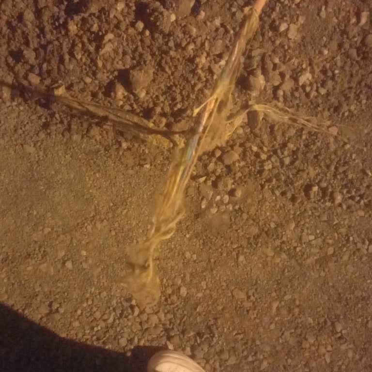 Fiber Kopması Ve İnternetsiz Günler, Faturalar Kesilmeye Devam Ediyor: Acil Çözüm Talebi