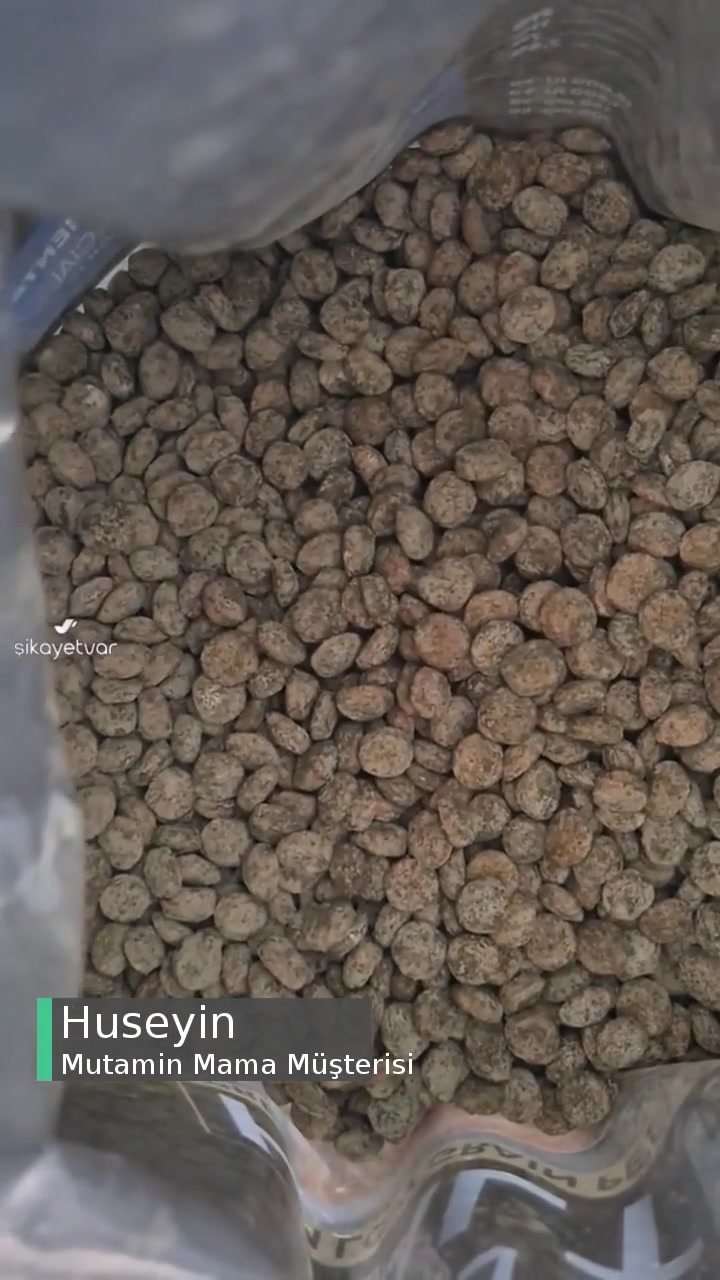 Mutamin Mama Küflü Köpek Maması videonun kapak resmi
