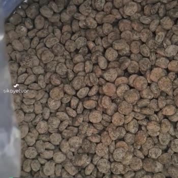 Mutamin Mama Küflü Köpek Maması