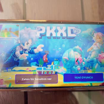 PK XD Hesabına Erişemiyorum Ve Şifre Yenileme E-postası Gelmiyor