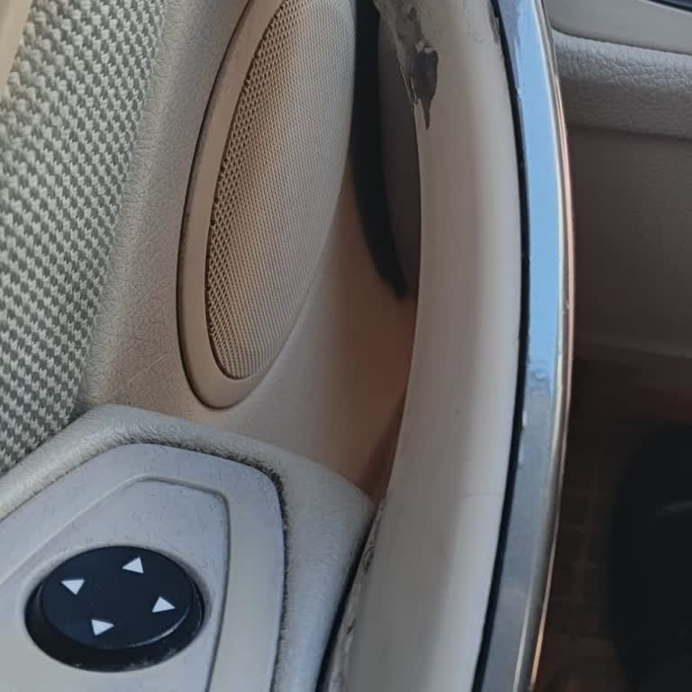 I Face BMW F30 Door Handle Melting and Seal Cracking Issue