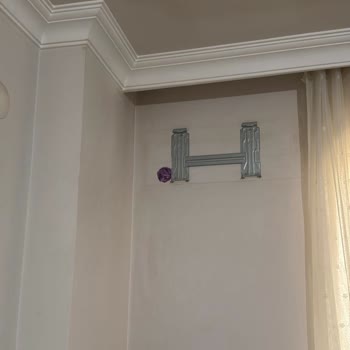 Bosch Klimamın Onarımı İçin Geri Dönüş Olmayan Servis Ve Değişim Talebi