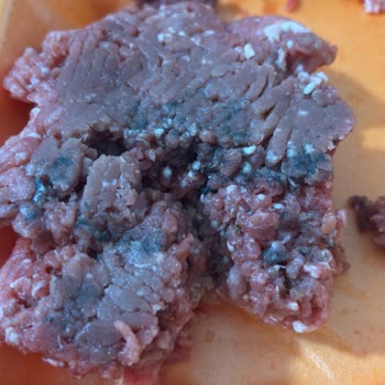 Köfteci Yusuf Şubesinde Küflü Kıyma Ve İade Reddi