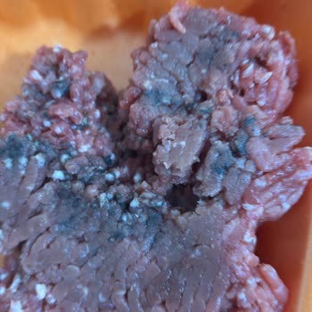 Köfteci Yusuf Şubesinde Küflü Kıyma Ve İade Reddi