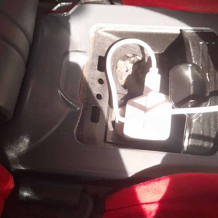 Kirli Ve Bakımsız Otobüs, Kaba Muavin