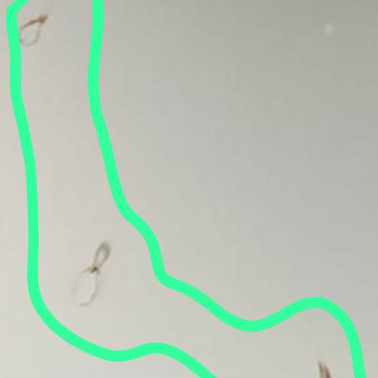 Bosch Bulaşık Makinesinde Paslanma Nedeniyle Ücret İadesi Talebi