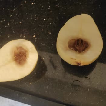 Sürekli Arızalanan Profilo Buzdolabının Değişim Ve İade Talebi