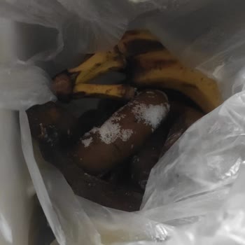 Sürekli Arızalanan Profilo Buzdolabının Değişim Ve İade Talebi