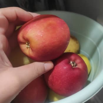 Sürekli Arızalanan Profilo Buzdolabının Değişim Ve İade Talebi