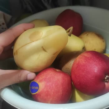 Sürekli Arızalanan Profilo Buzdolabının Değişim Ve İade Talebi