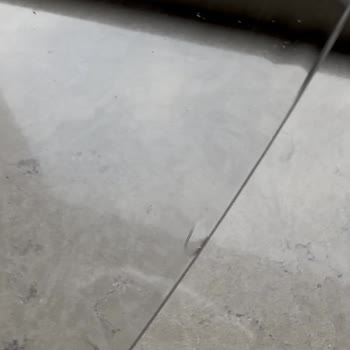 Kırık Ve Çizik Camlı Kase Teslimatında Hızlı Çözüm Talebi