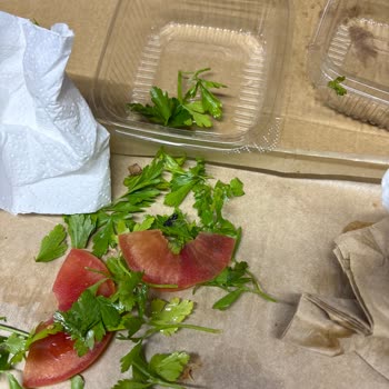 Garnitürde Ölü Sinek Görmesiyle Hijyen Şikayeti