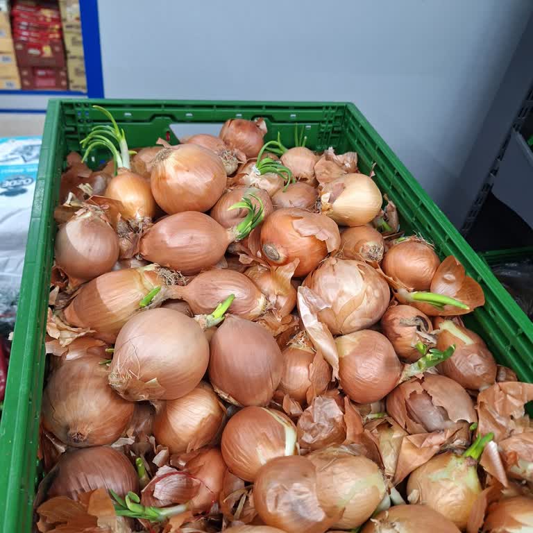 BİM Yenimahalle Şubesinde Filizlenmiş Ve Çürük Soğanlar Satılıyor