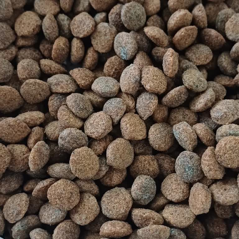 Küflü Mama Ve Cevapsız Müşteri Desteği