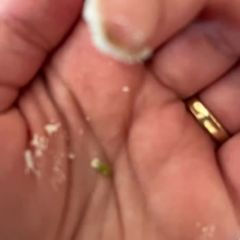 Bebek Mamasında Yabancı Nesne Çıktı Güvenlik Endişesi