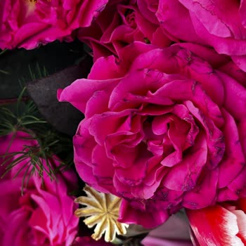 Sipariş Edilen Lale Aranjmanı Görseliyle Uyuşmuyor Ve Güller Taze Değil