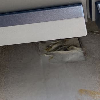 Toyota Bayisi Servisinde Davlumbaz Keçesi Hasar Gördü, Sorumluluk Reddedildi