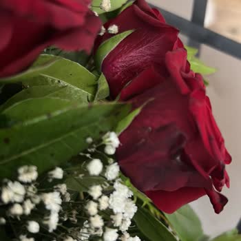 Kararmış Güller Ve Değişim İmkanı Sunulmaması