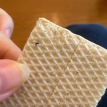 Misket Limonlu Gofretten Üründe Böcek Benzeri Siyah Oluşum Tespit Edildi