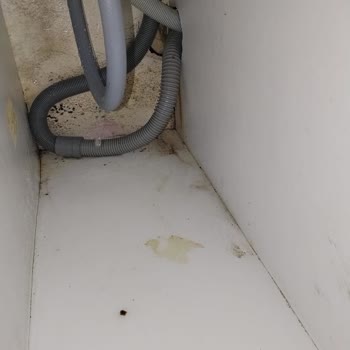 Vestel Çamaşır Makinesi Montaj Hatası Ve Su Baskını