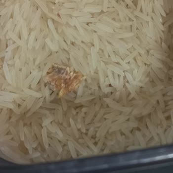Küflü Basmati Pirincinin Değiştirilmesini Talep Ediyorum