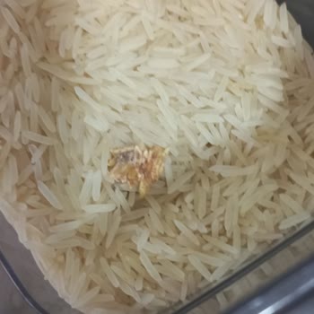 Küflü Basmati Pirincinin Değiştirilmesini Talep Ediyorum