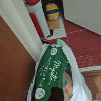 Küflü Kedi Maması İadesi Gecikmesi