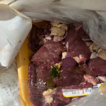 Erpiliç Tavuk Ciğerinde Kıymık Ve Renk Değişikliği