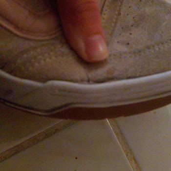 Vans Hylane Kadın Deri Ayakkabısının Kenarlarında Hızlı Aşınma Ve Değişim Talebi