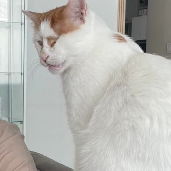 Randevu Süreci Yok, 1,5 Saat Bekletildim Ve Kaba Davranışla Klinikden Çıkarıldım