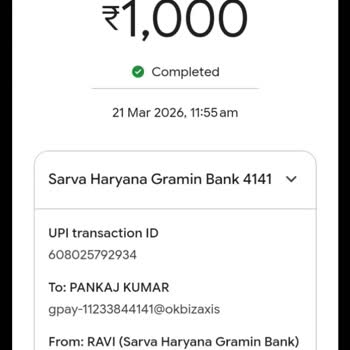 I Face Binomo Deposit Pending Issue With Funds Not Credited
