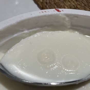 Tarihi Geçmemiş Yoğurtta Küflenme: Sağlık Riski Ve Hijyen Sorunu