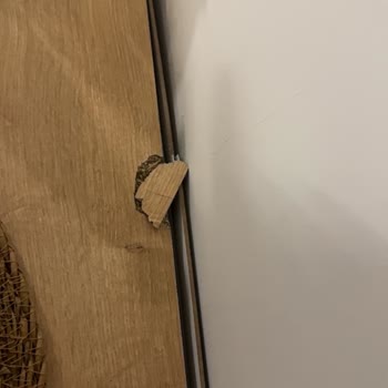 Ekstra 4.000₺ Ücret Ve Kırık Televizyon İçin Sigortalı Taşıma Sözünün İhlali