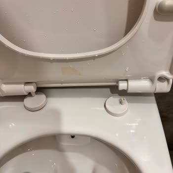 Vitra Klozet Kapağı Menteşesi 1 Yılda Kırıldı, Parça Fiyatı Tüm Kapak Fiyatına Yakın