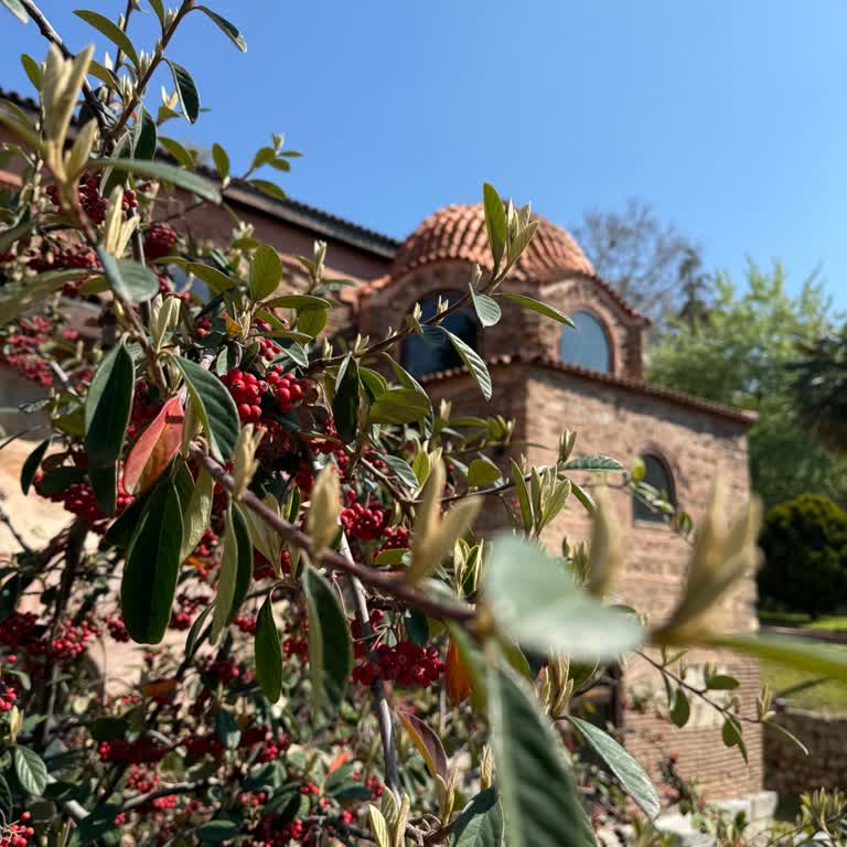 Hitit Tour İzinsiz Meyve Bahçesi Girişi Ve Yanıltıcı Tur Reklamı