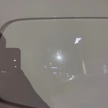 Teslim Anında Kuş Dökmesi Nedeniyle Boya Yanıkları Ve İkame Araç Reddi