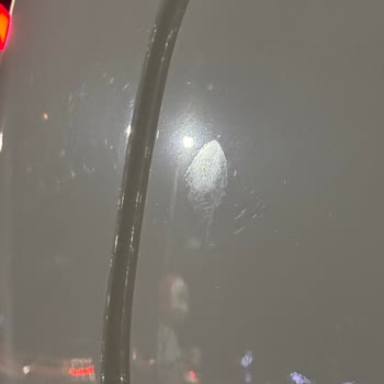 Teslim Anında Kuş Dökmesi Nedeniyle Boya Yanıkları Ve İkame Araç Reddi