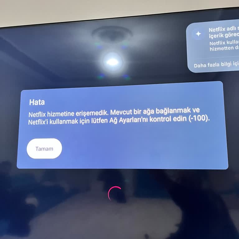 Dijitsu Televizyonumda Netflix’e Bağlanamama Sorunu