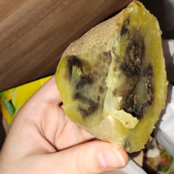 File Market’te Patates Çürümesi Ve Hijyen Kontrol Eksikliği