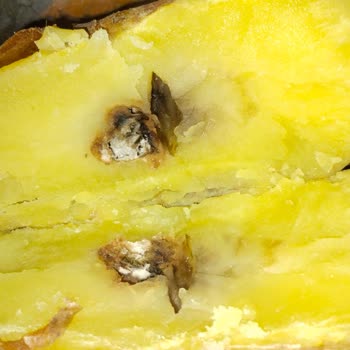 File Market’te Patates Çürümesi Ve Hijyen Kontrol Eksikliği