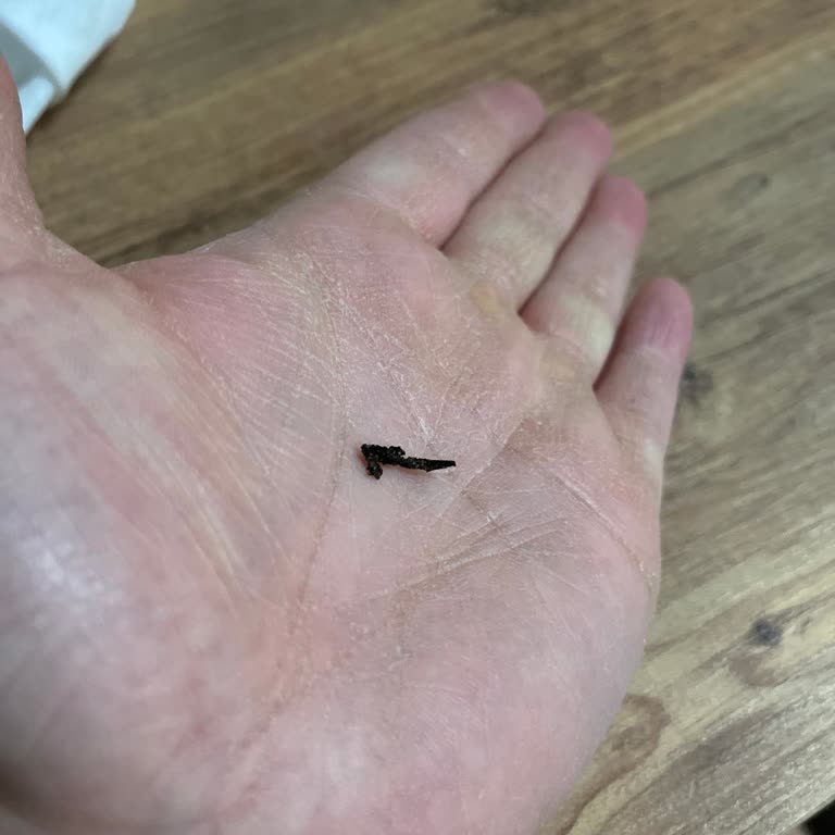 Bebek Bisküvisinde Tahta Parçası: Güvenlik Ve Hijyen İhlali