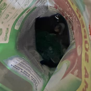 Ariel Pods Kapsüllerinin Yapışıp Patlaması Ve Ürün Değişimi Talebi